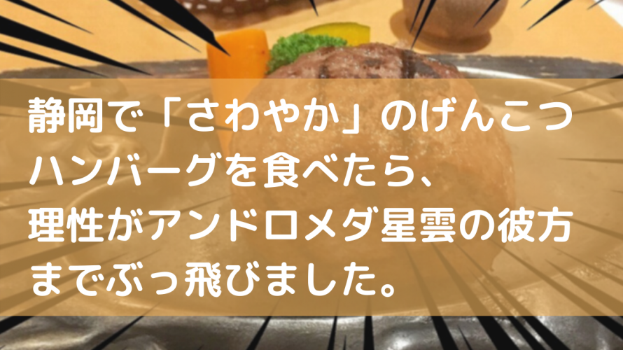 静岡で「さわやか」のげんこつハンバーグを食べたら、 理性がアンドロメダ星雲の彼方までぶっ飛びました。